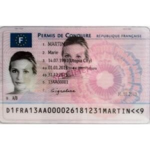 Buy France Driver License