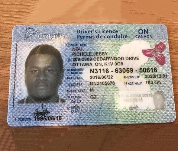 Buy Canadian Driver License Buy Canadian Driver License