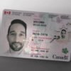 Buy Canadian ID Card