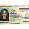 buy us drivers license online