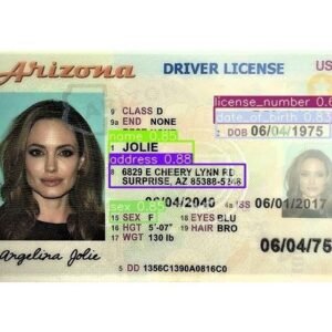 buy us drivers license online